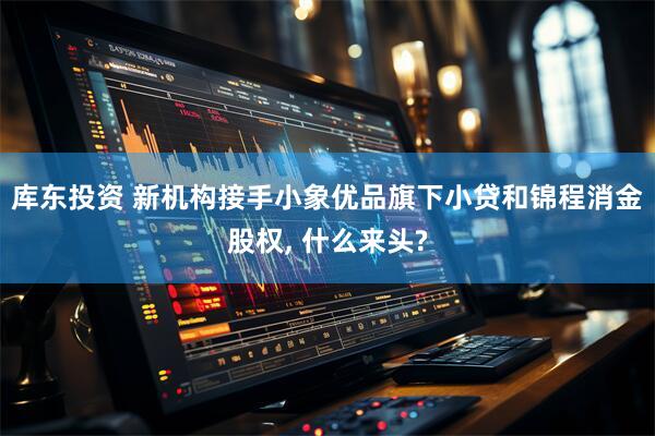 库东投资 新机构接手小象优品旗下小贷和锦程消金股权, 什么来头?