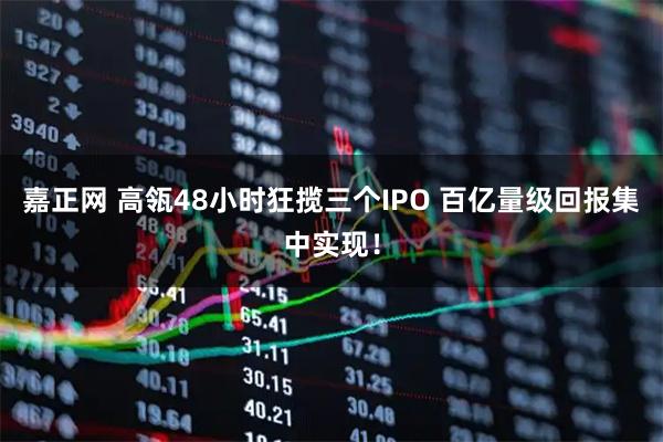 嘉正网 高瓴48小时狂揽三个IPO 百亿量级回报集中实现！