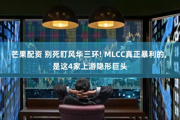 芒果配资 别死盯风华三环! MLCC真正暴利的, 是这4家上游隐形巨头