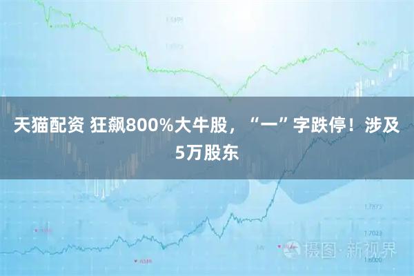 天猫配资 狂飙800%大牛股，“一”字跌停！涉及5万股东
